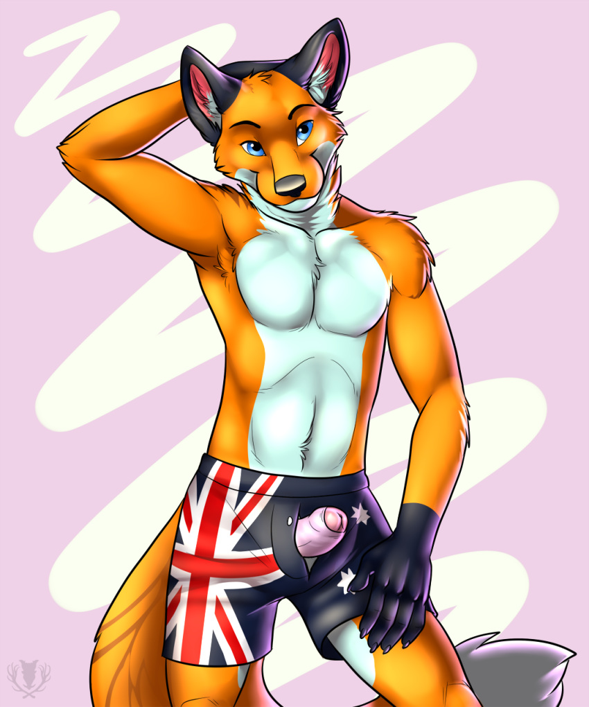 1boy 2013 5_fingers anthro artist_logo black_markings black_nose blue_eyes body_fur boxers canine claws closed_mouth clothing color erection fluffy_tail foreskin foreskin_folds fox front_view furry furry_ears furry_tail hand_behind_head humanoid_penis intact male male_only open_eyes orange_fur orithan partially_retracted_foreskin penis penis_out shorts smooth_penis solo standing tail topless uncut underwear undressing vallhund white_countershading