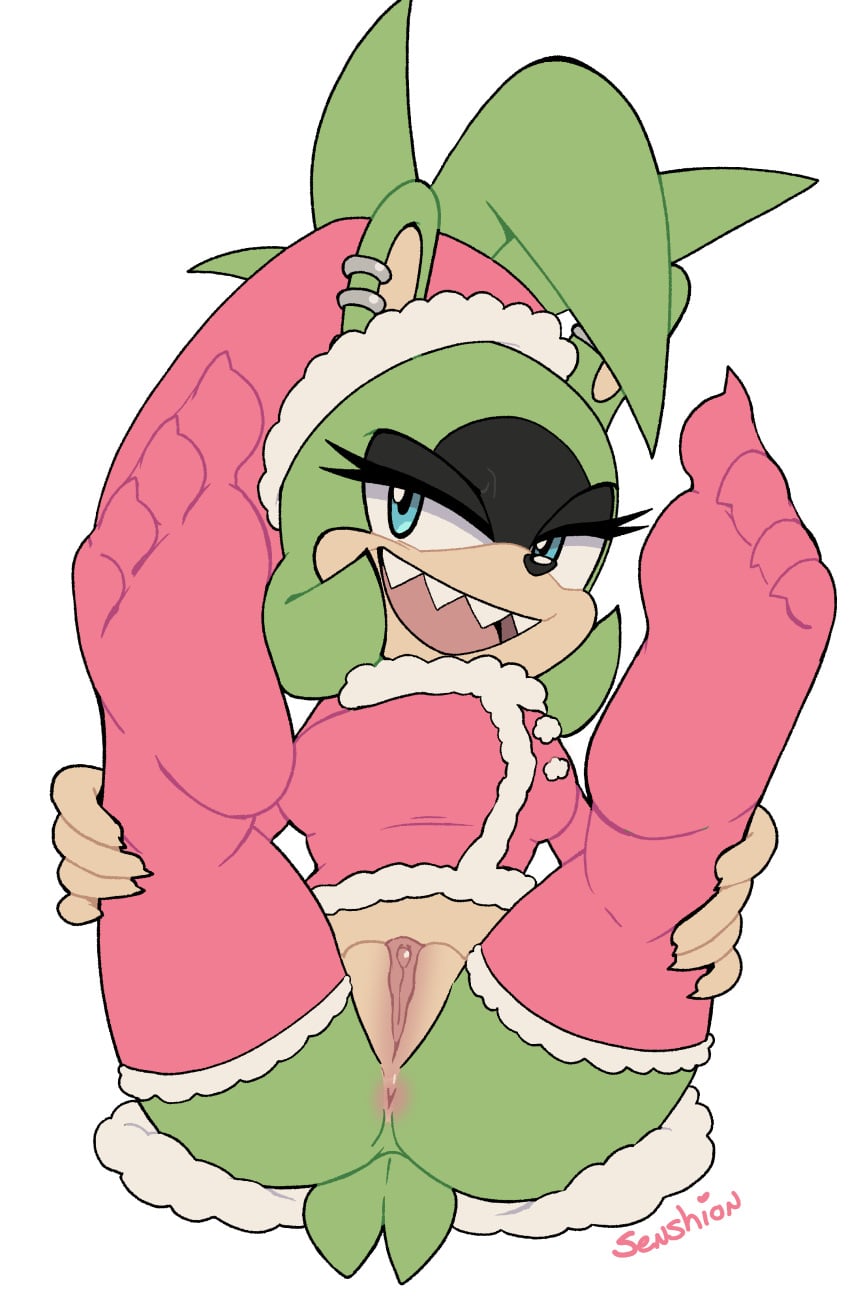 Sonic (Series) Rule 34 Image
