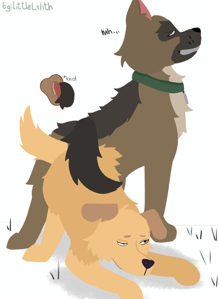 Brutus (Pixie And Brutus) Rule 34 Image