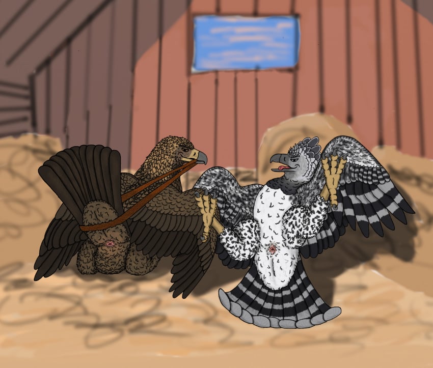 avian bird cloaca eagle feral golden_eagle harpy_eagle male pinup ritchie sawyer_(ferobird) talons uppmap123 vent wings