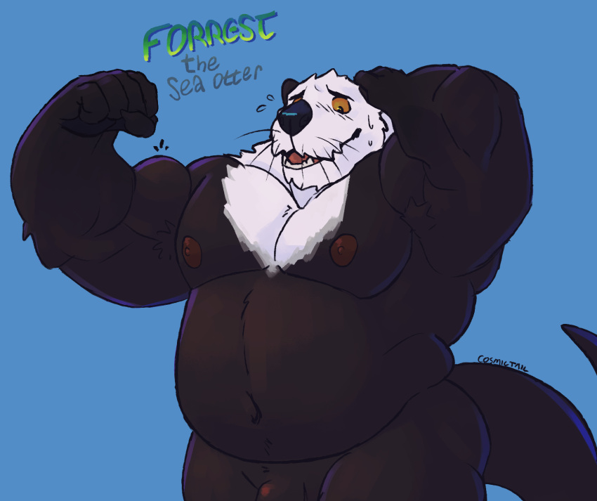2024 anthro armpit_hair barazoku barely_visible_genitalia barely_visible_penis belly biceps blue_background body_hair cosmictail embarrassed flexing flexing_bicep flustered forearm_muscles forrest_(cosmictail) genitals half-length_portrait hand_on_head hi_res male male_only mammal masculine_male musclegut muscular muscular_arms mustelid navel nipples otter pecs penis portrait sea_otter simple_background slightly_chubby solo standing triceps yellow_sclera
