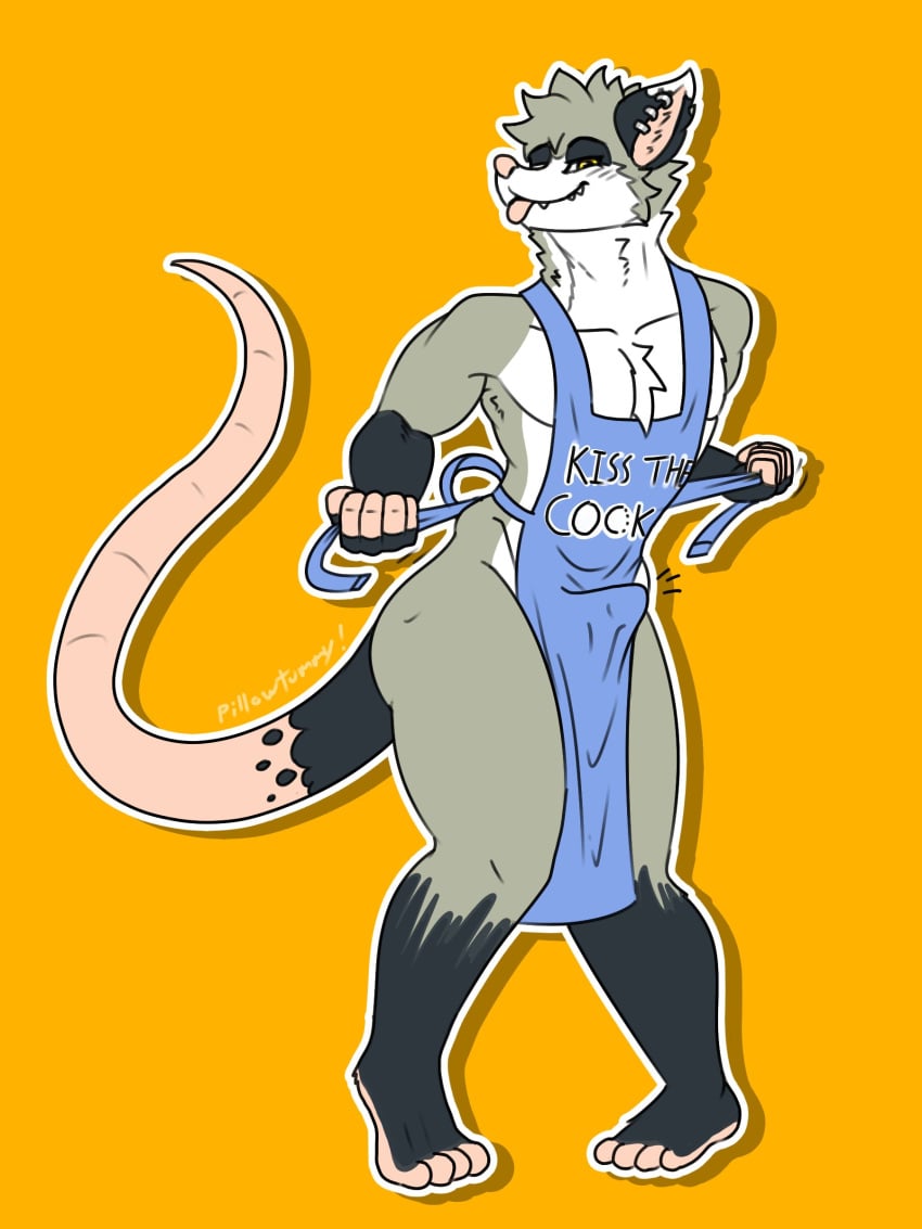 2024 absurd_res american_opossum anthro apron bulge clothing crossed_legs ear_piercing erection erection_under_clothing hi_res kiss_the_cook male male_focus male_only mammal marsupial piercing pillowtummy simple_background solo tight_clothing tongue tongue_out virginia_opossum