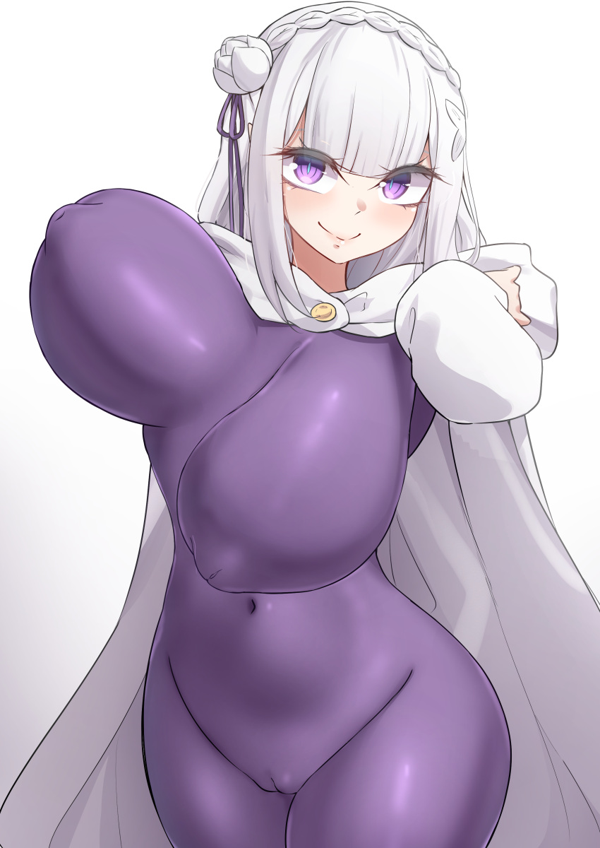 Emilia (Re:Zero) Rule 34 Image