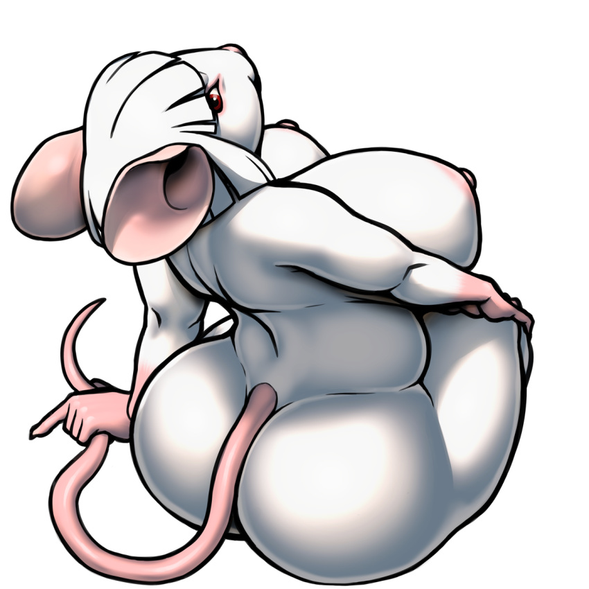 albino anthro ass back breasts curvy female female_only from_behind furry huge_ass huge_breasts mouse mouse_ears mouse_tail nikcesco nina_(nikcesco) nipples original red_eyes rodent sitting solo tail white_hair white_skin