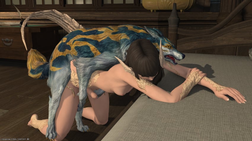 1futa 3d alys_(ffxiv) au_ra canine doggy_style feral final_fantasy final_fantasy_xiv futa_on_feral futanari gpose(ffxiv) intersex raen self_upload sex sex_from_behind zoophilia