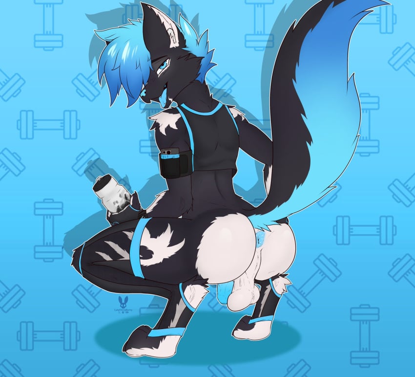 alexthedogkin anthro ass athletic_wear blue_hair blue_penis bottle container cutefckngbunny dogkin fluffy fluffy_tail genitals hair hi_res leg_tattoo lustful_gaze male penis power_bottom smile smiling_at_viewer smirk smirking_at_viewer solo solo_focus submissive tail tattoo water_bottle white_butt
