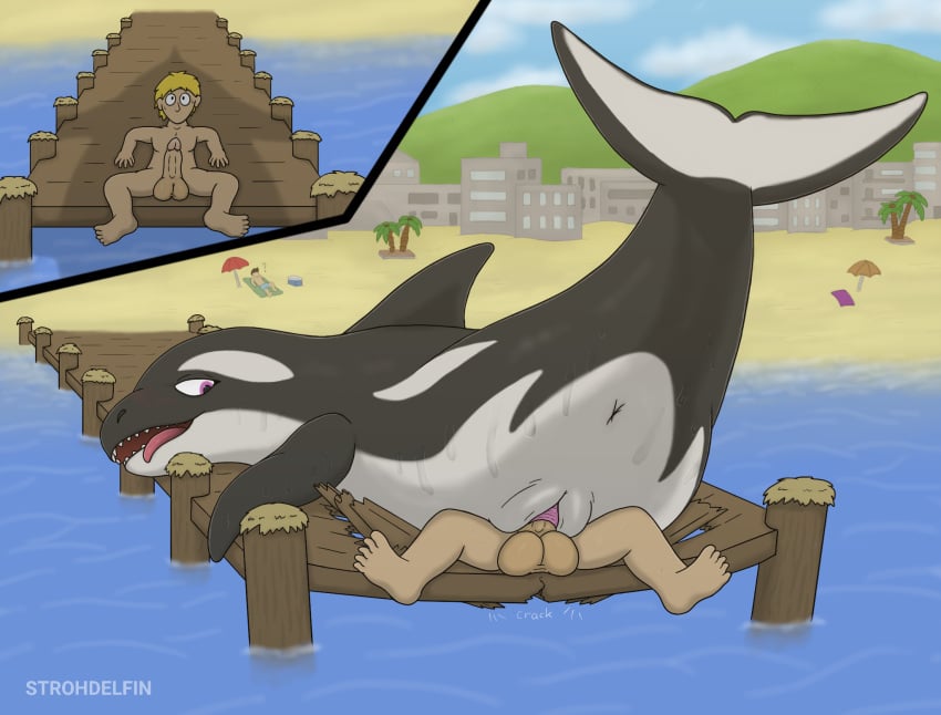 animal_genitalia anus balls beach big_balls black_body cetacean cetacean_genitalia death_by_snu_snu detailed_background docks dolphin dominant dominant_female dominant_feral duo erection female female_on_top feral genitals hi_res human human_on_feral interspecies larger_female larger_feral looking_back male male/female male_on_feral mammal marine oceanic_dolphin on_top open_mouth orca penetration penile penile_penetration penis penis_in_vagina purple_eyes raised_tail sex shadow size_difference strohdelfin tail tongue tongue_out toothed_whale vaginal_penetration vaginal_penetration vulva water white_body zoophilia