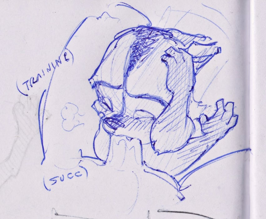 2boys anthro blush blushing dreamworks dreamworks_animation gay genitals human male male/male male_only mammal one_eye_closed oral oral_sex over_the_hedge paramount_pictures penis procyonid raccoon ram_satinga rj_(over_the_hedge) sex sketch text yaoi
