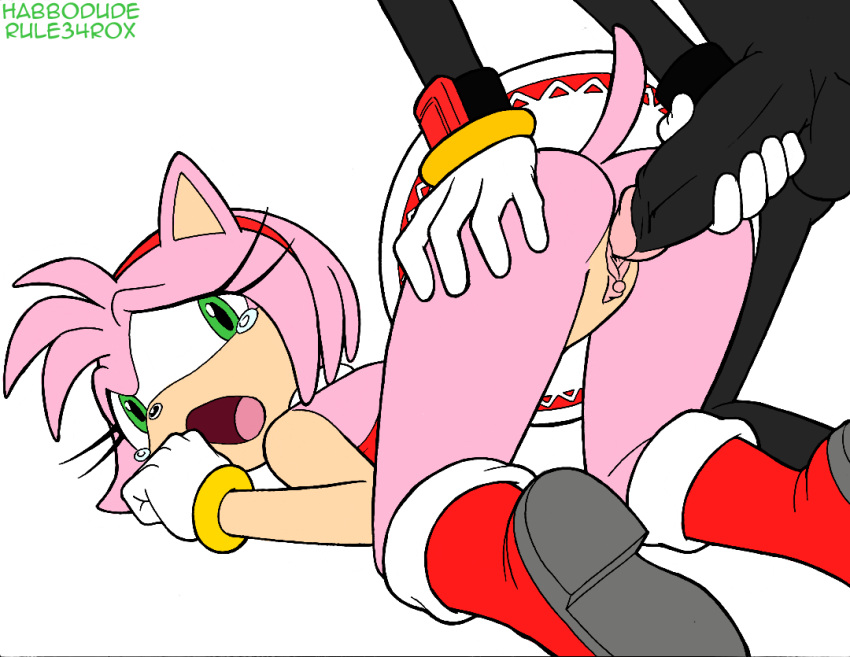 amy_rose anthro ass erection female female_on_top from_behind fur glans green_eyes habbodude hair hedgehog male penis pink_hair pussy rule34rox sega sex shadow_the_hedgehog sonic_(series) thick_penis