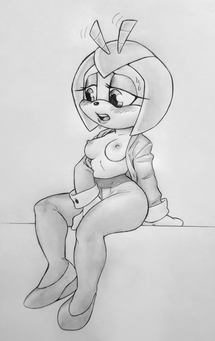 Sonic (Series) Rule 34 Image