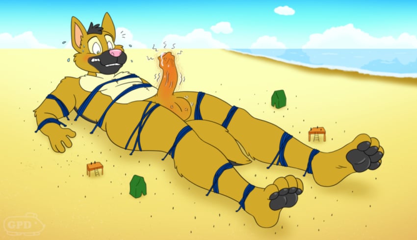 2022 4_fingers 4_toes anthro arm_tuft arms_tied athletic athletic_anthro athletic_male balls balls_blush beach belly biped blue_sky blush blush_lines blushing_penis bodily_fluids body_blush bondage bound calf_tuft canid canine canis chest_tuft chuck_(furshinku) cloud cloudy_sky collarbone colored cum cum_drip digital_drawing_(artwork) digital_media_(artwork) domestic_dog dripping dripping_penis elbow_tuft erection feet fingers foreskin fur furshinku genital_fluids genitals german_shepherd green_eyes grey_body grey_fur grey_pawpads group gulliver's_travels head_tuft herding_dog humanoid_feet humanoid_genitalia humanoid_hands humanoid_heel humanoid_penis leg_tuft legs_tied looking_down_at_penis looking_down_at_self lying macro_focus male mammal micro multicolored_body multicolored_fur muscular muscular_anthro muscular_male navel nude on_back orgasm outdoor_nudity outside pastoral_dog pawpads paws pecs penis pink_nose pinup plantigrade pose restraints ribs rope rope_bondage sand shaded shoulder_tuft sky soles solo_focus surprise surprised_expression surprised_face surprised_look tan_belly tan_body tan_chest tan_fur throbbing throbbing_balls throbbing_penis tied_down toes tuft uncircumcised white_sclera yellow_body yellow_fur