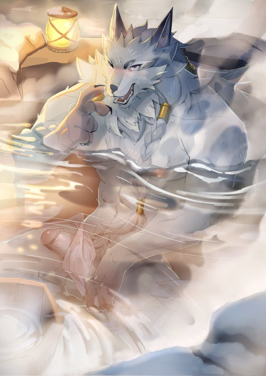 1boy abs afk_(series) afk_journey animal_ears anthro bara blush braid canid canine claws fangs faramor_(afk) furry highres looking_at_viewer male muscular muscular_anthro muscular_male nipples onsen open_mouth pawpads pectorals penis sitting solo steam tuji_han wet wolf