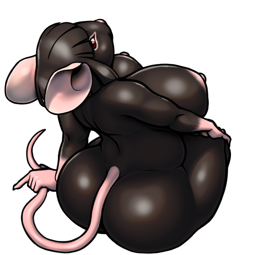 alternate_color anthro ass back black_skin breasts curvy female female_only from_behind furry huge_ass huge_breasts mouse mouse_ears mouse_tail nikcesco nina_(nikcesco) nipples original red_eyes rodent sitting solo tail white_hair