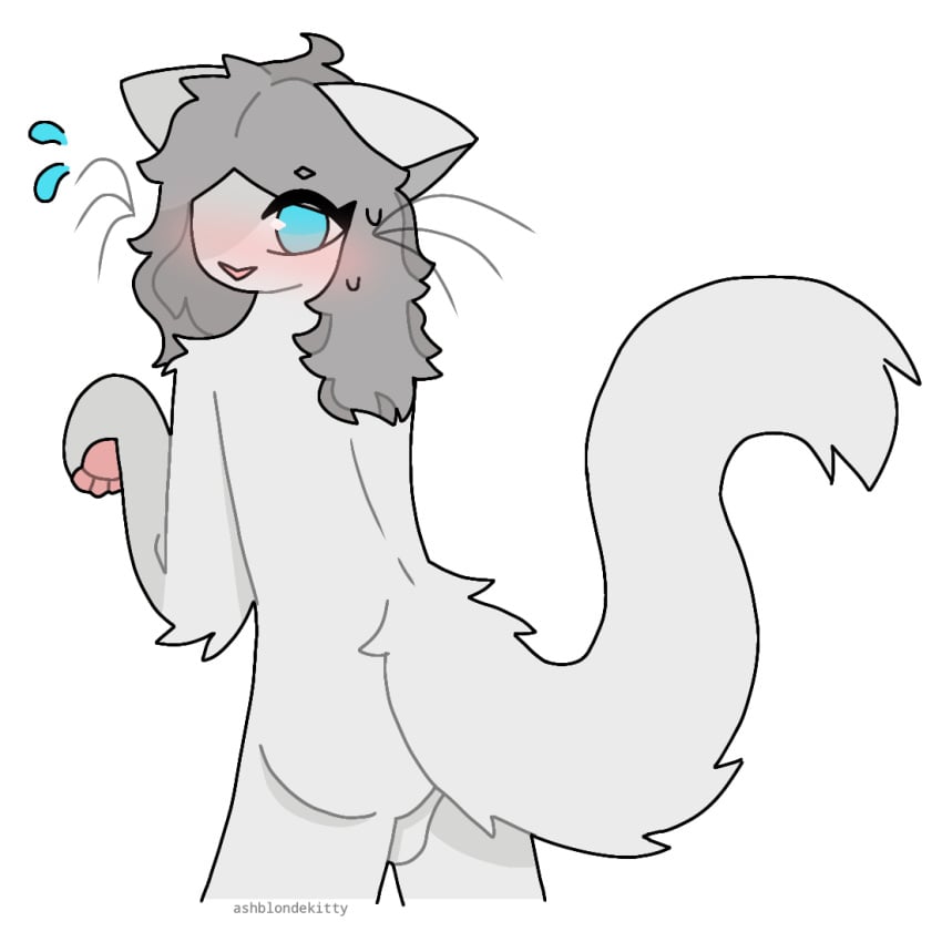 anthro ashblondekittyy balls blue_eyes blush bodily_fluids domestic_cat embarrassed felid feline felis fur futanari genitals grey_hair gynomorph hair intersex looking_at_viewer looking_back looking_back_at_viewer mammal pawpads paws perineum raised_paw rear_view solo sweat sweatdrop tail trans_(lore) trans_woman_(lore) whiskers white_body white_fur yuna_(ashblondekitty)