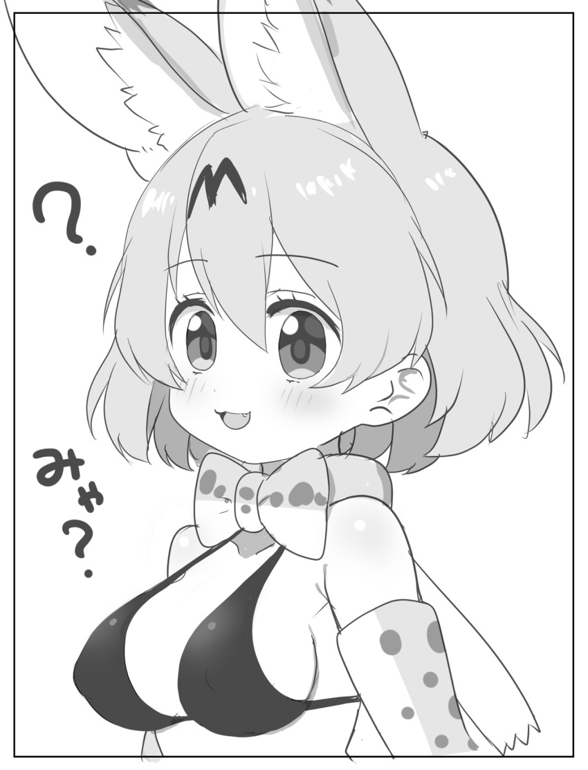 :3 ? animal_ears bangs bikini bob_cut border bow bowtie breasts commentary_request elbow_gloves eyebrows_visible_through_hair female female gloves greyscale halterneck highres kemono_friends looking_at_viewer medium_breasts monochrome oerba_yun_fang open_mouth print_bow print_bowtie print_gloves ransusan serval_(kemono_friends) serval_print short_hair smile solo swimsuit translated