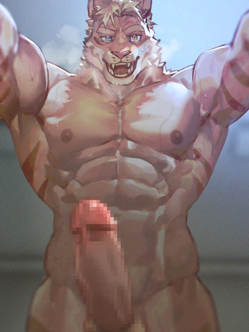 1boy abs animal_ears arms_up bara censored completely_nude cowboy_shot furry furry_male girthy_penis heterochromia highres huge_eyebrows large_pectorals looking_at_viewer male_focus mosaic_censoring muscular muscular_male neumo nipples nude orange_fur original pectorals penis sanpaku solo standing stomach sweat tail thick_eyebrows tiger_boy tiger_ears tiger_tail white_fur