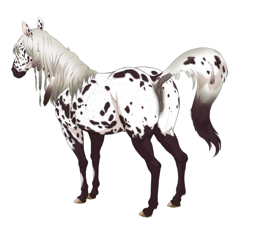 anatomically_correct anatomically_correct_genitalia animal anus appaloosa equid equine female feral genitals horse looking_down mammal pussy raised_tail shebeast solo tail