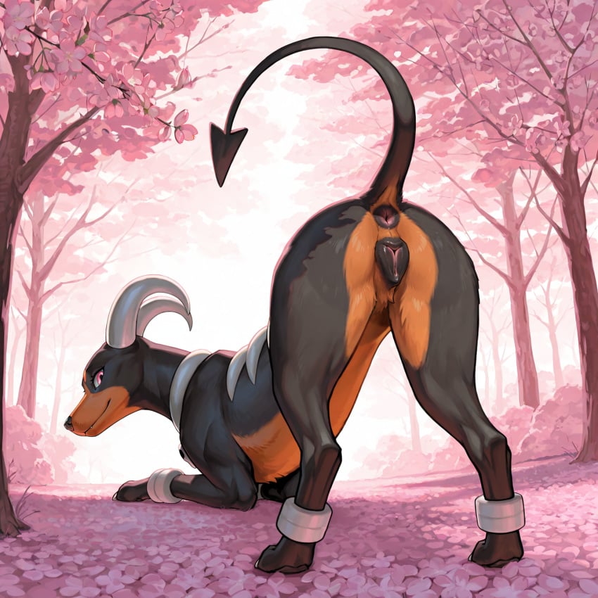 ai_generated animal_genitalia animal_pussy anus ass ass_up black_body black_fur brown_body brown_fur canid canine canine_genitalia canine_pussy cherry_blossom cherry_blossom_tree cherry_tree claws detailed_background female feral firewolf890 fruit_tree fur generation_2_pokemon genitals hi_res horn houndoom looking_at_viewer looking_back looking_back_at_viewer mammal nintendo outside paws plant pokemon pokemon_(species) presenting presenting_hindquarters pussy raised_tail seductive solo toe_claws tree