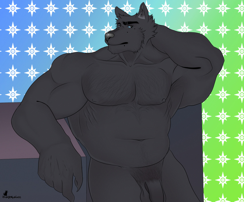 absurd_res anthro armpit_hair balls belly biceps blue_sclera body_hair canid canine canis cel_shading chest_hair flaccid genitals hairy hi_res leaning_on_table male mammal muscular muscular_male nude orangemaniacc pattern_background pecs penis pubes shaded simple_background slightly_chubby solo wolf