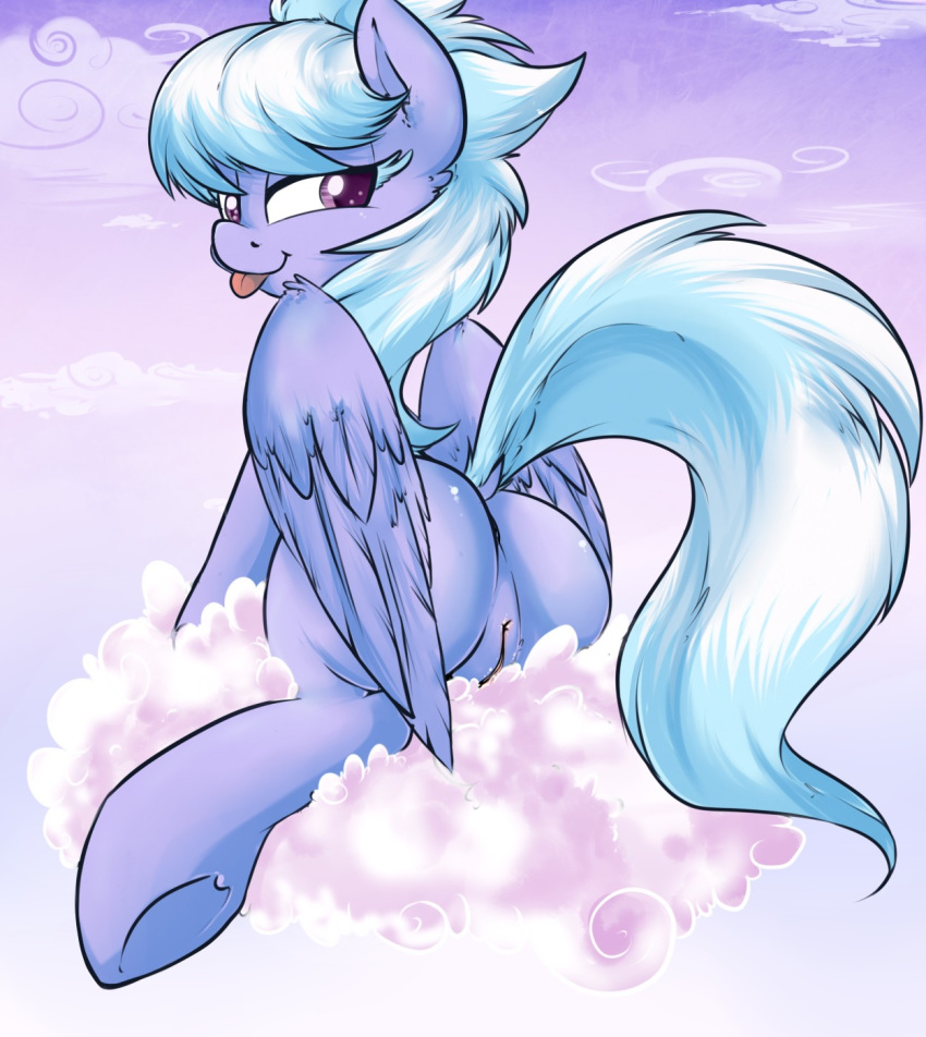 Cloud Chaser (Mlp) Rule 34 Image