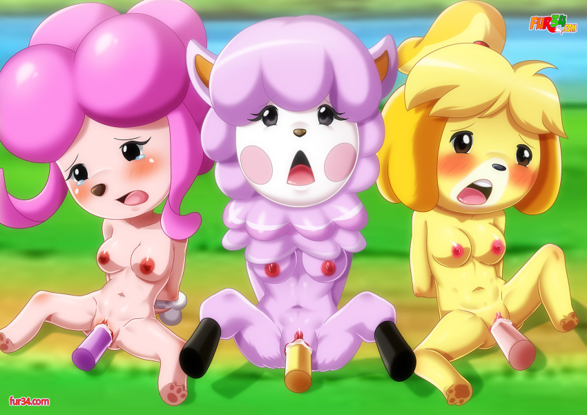 3girls animal_crossing anthro bbmbbf blush breasts dildo dildo_in_pussy female female_only fur34 harriet_(animal_crossing) isabelle_(animal_crossing) multiple_girls nintendo nipples nude open_mouth palcomix pussy pussy_juice reese_(animal_crossing) sex_toy tears teeth tongue vaginal_insertion