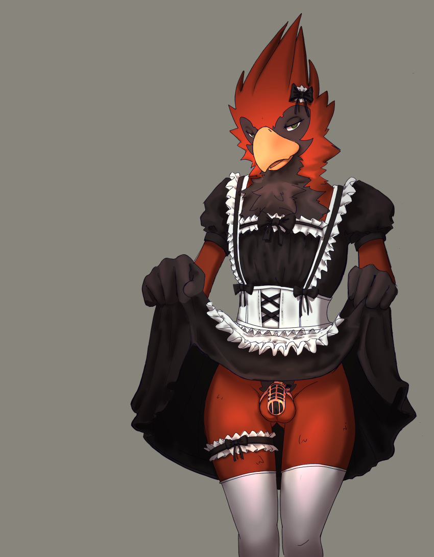 absurd_res accessory anthro avian bird black_bow bottomwear bow_accessory bow_ribbon cardinal_(bird) chastity_cage chastity_device chest_tuft clothed clothing clothing_lift crossdressing dress dress_lift feathers garter grey_background half-closed_eyes hi_res legwear looking_at_viewer maid_uniform male markings mesmeristmina metal_chastity_cage narrowed_eyes no_underwear oscine passerine pink_chastity_cage presenting pubes rory(mesmeristmina) simple_background skirt skirt_lift solo stockings submissive submissive_male tuft uniform white_clothing white_legwear white_stockings