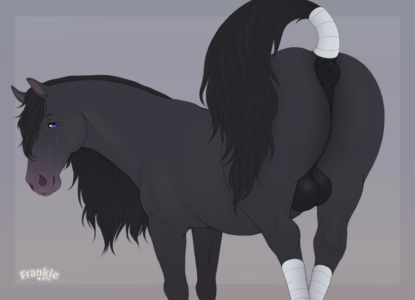 anatomically_correct anus ass black_body black_fur draft_horse equid equine equine_anus fenn.perrox feral friesian fur genitals hi_res horse leg_wrap looking_at_viewer male mammal mane presenting presenting_anus presenting_hindquarters purple_eyes quercu raised_tail solo tail tail_anus tail_wraps wraps