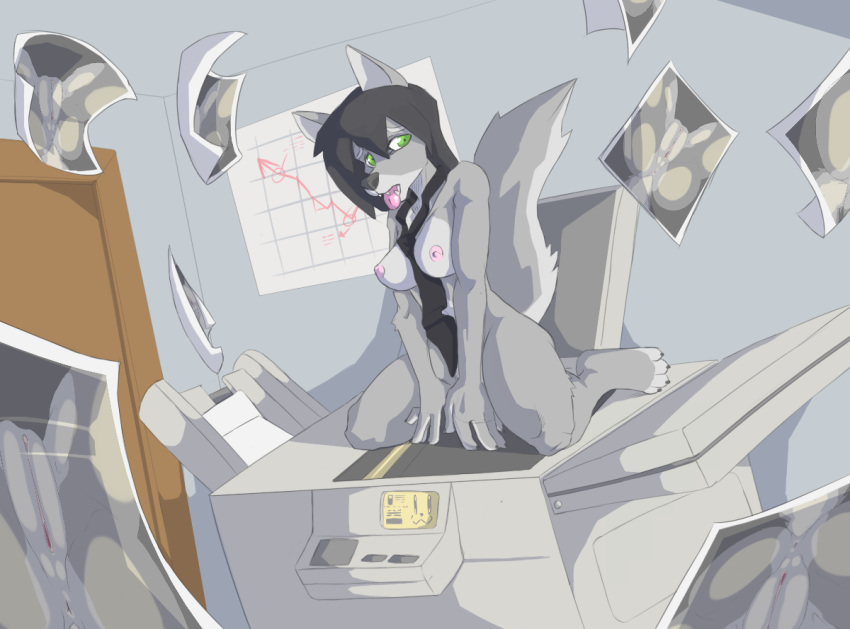 :3 anthro anus areola black_hair bluemaster breasts canine copy_machine female fur furry green_eyes grey_fur hair necktie nipples nude office photo photo_(object) pussy solo tongue_out wolf