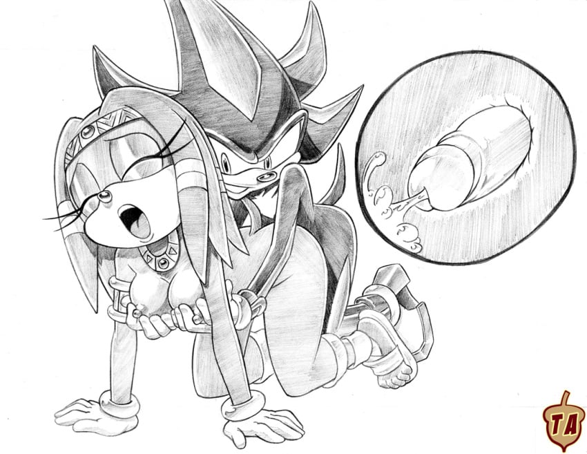 2014 anthro areola big_breasts breasts cum cum_inside echidna erect_nipples erection female furry hedgehog male monochrome nipples nude orgasm penetration penis rule34rox sex shadow_the_hedgehog smile sonic_(series) tikal_the_echidna