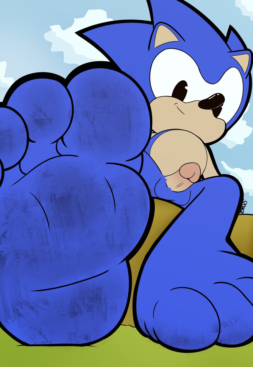 4_toes absurd_res anthro balls barefoot dirty dirty_feet feet first_person_view foot_fetish foot_focus foot_play genitals hi_res junio_sonic low-angle_view male male_only nude penis sega sokz solo sonic_(series) sonic_the_hedgehog sonic_the_hedgehog_(series) toei_sonic toes