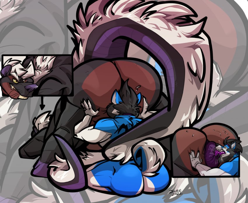 2022 anal anthro anus ass ass_up beard big_butt black_body black_fur black_hair blue_body blue_fur brown_body brown_fur canid canine canis duo facial_hair fur gtskunkrat_(character) hair hand_on_butt huge_butt hybrid jack-o'_pose joveehusky long_tail looking_back male male/male mammal mephitid murid murine muscular nude oral pose purple_anus purple_feet purple_inner_ear purple_nose purple_tongue rat rimming rodent sex signature skunk tail teeth tongue tongue_out white_body white_fur white_hair wolf yellow_eyes