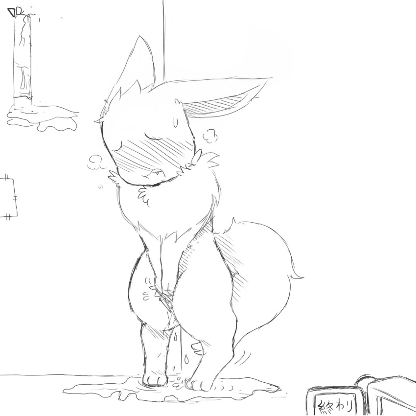 bladder_gauge blush camera desperation door eevee fur furry furry_ears furry_tail japanese_text nintendo no_humans omorashi peeing pokemon pokephilia ruugiaruu standing sweat tail text urine video_games