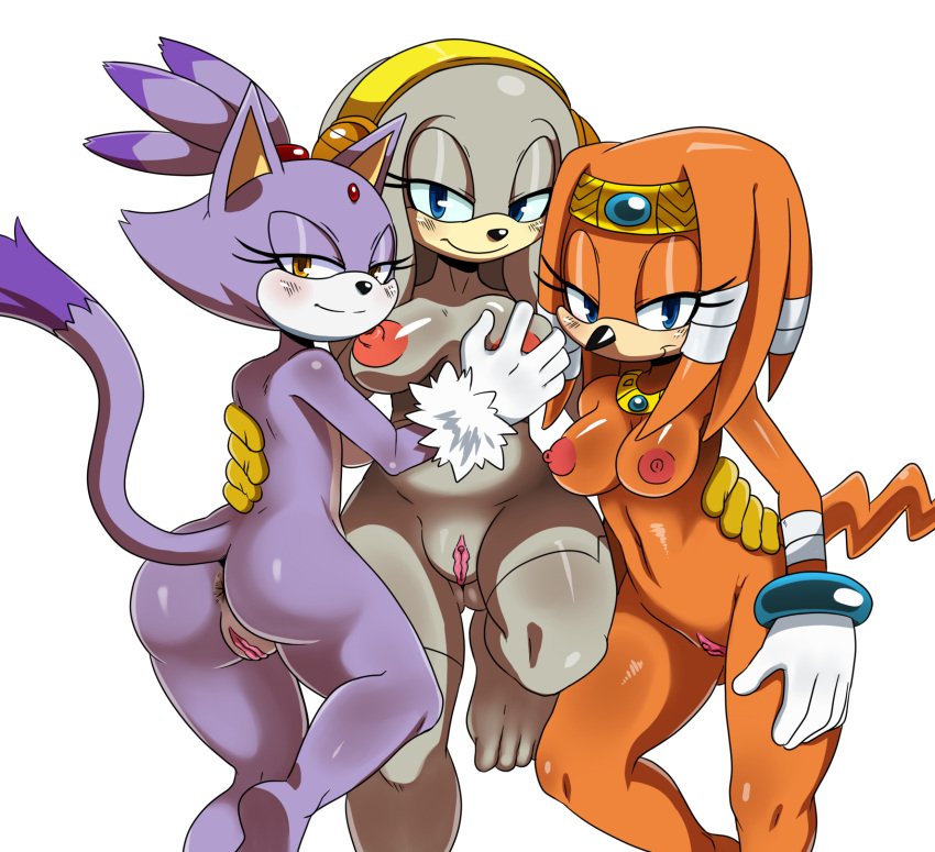 2014 2d anthro anus ass big_breasts blaze_the_cat blush breast_grab breasts echidna feline fur furry looking_at_viewer mobian mobian_(species) mobian_echidna nipples project_x_love_potion_disaster pussy sega smile sonic_(series) sonic_adventure sonic_rush sonic_team sonic_the_hedgehog_(series) sssonic2 thick_thighs tikal_the_echidna wide_hips zeta_the_echidna