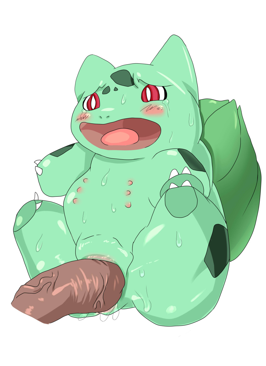 1boy 1boy1girl 1girls blush bulbasaur dark_skin female feral furry high_resolution human interspecies male multi_nipple nintendo open_mouth penetration plain_background pokémon_(species) pokemon pokemon_(species) pokemon_rgby pokephilia pussy_juice red_eyes sea_dragon_(artist) size_difference straight sweat teats vaginal_penetration vein video_games wet wet_pussy white_background