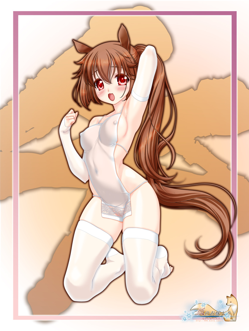 Chinese Zodiac Rule 34 Image