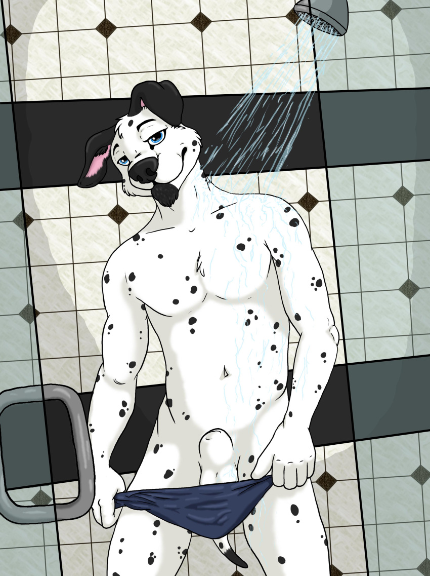 anthro balls boxers canine dalmatian furry male male_only mammal mixer shower solo underwear undressing water wet