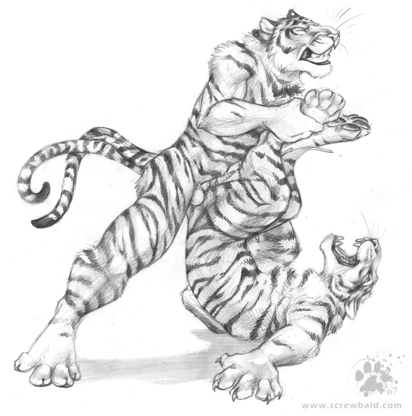 anthro balls blotch claws closed_eyes cum cumshot erection feline fur furry furry_only gay greyscale hindpaw legs_up lying male mammal monochrome nude on_back open_mouth orgasm pawpads paws penis plain_background sheath stripes tiger whiskers white_background