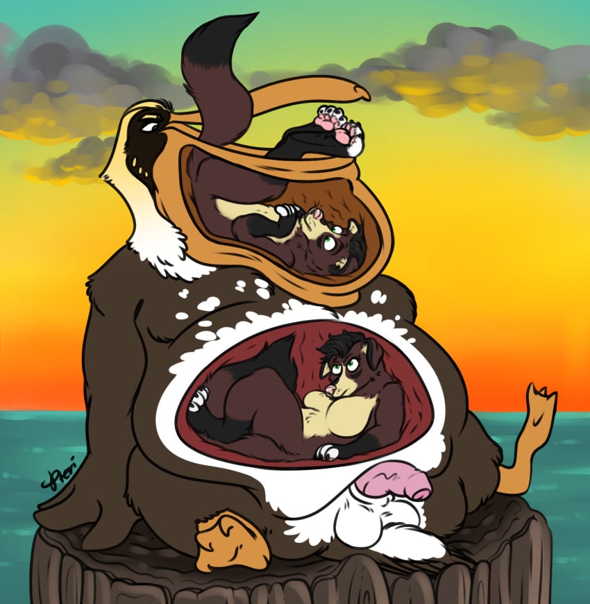 anthro avian bird brown_body brown_feathers brown_fur brown_pelican canid canine canis coyote feathers female flaccid fur genitals group hi_res huttser-coyote_(character) internal male male/female male/male mammal overweight overweight_male painted_background pawpads paws pelecaniform pelican penis pouch_(pteri) pteri_(artist) soft_vore sunset swallowing trio vore white_body white_feathers