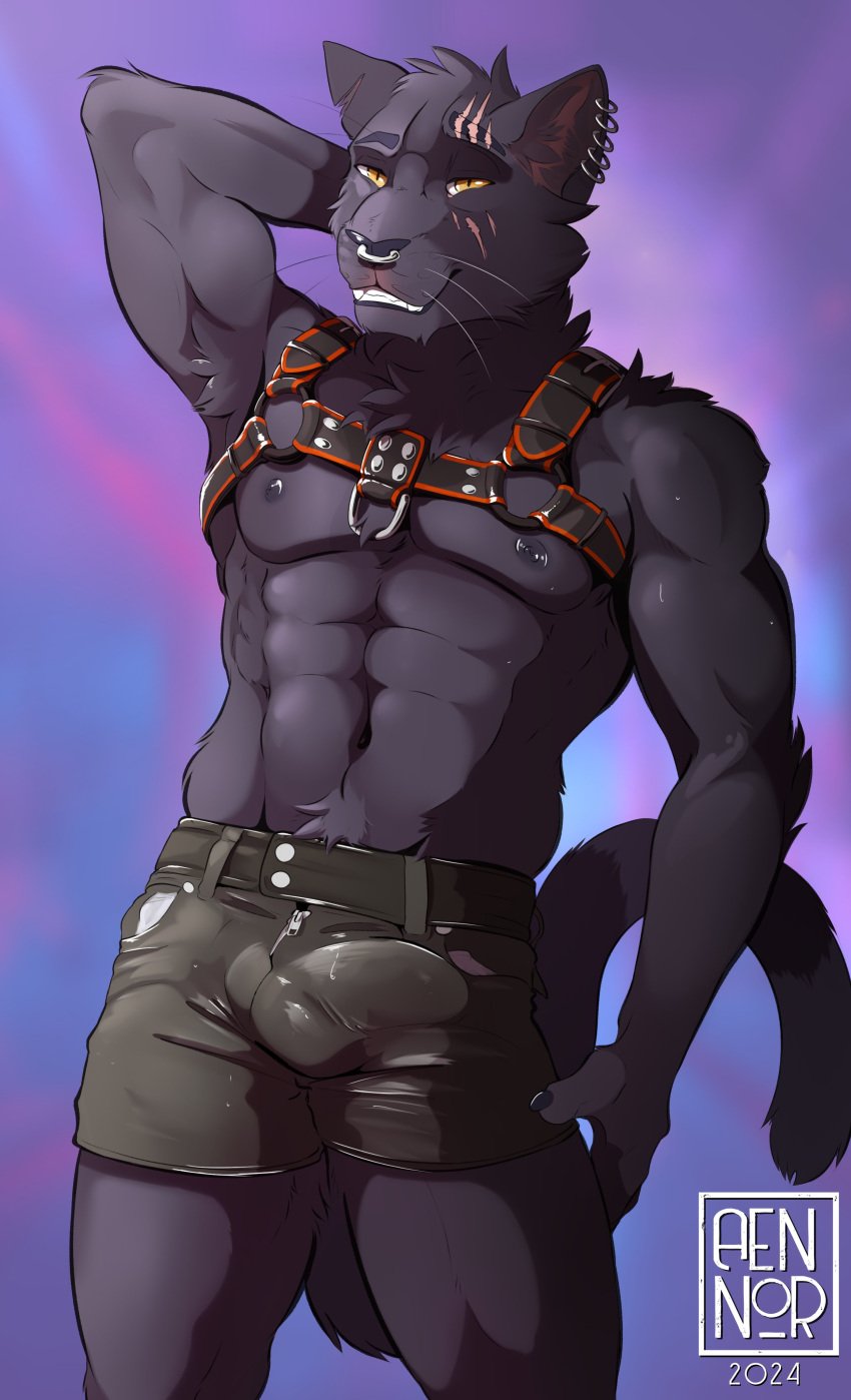 2024 abs absurd_res aennori anthro balls barazoku belt biceps big_balls big_penis black_body black_bottomwear black_clothing black_fur black_shorts bottomwear bulge clothed clothing detailed_bulge dominant dominant_anthro dominant_male ear_piercing ear_ring eye_scar facial_scar felid fur genitals glans harness hi_res humanoid_genitalia humanoid_penis male mammal muscular muscular_anthro muscular_male pantherine pecs penis piercing ring_piercing scar shorts shorts_only solo tiger topless