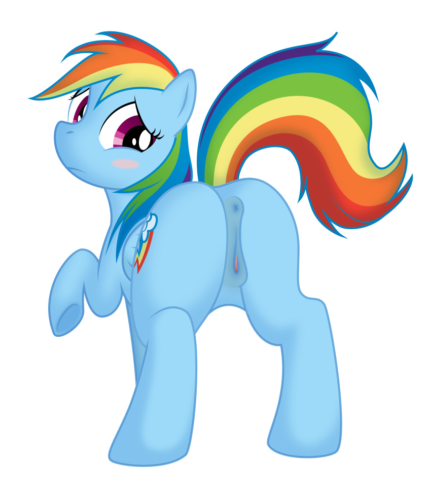 2013 alpha_channel anatomically_correct anatomically_correct_anus anatomically_correct_pussy anus blush cutie_mark equine female feral friendship_is_magic horse mammal my_little_pony pinup plain_background pony presenting purple_eyes pussy rainbow_dash_(mlp) shy solo spreading transparent_background wings xaigatomon