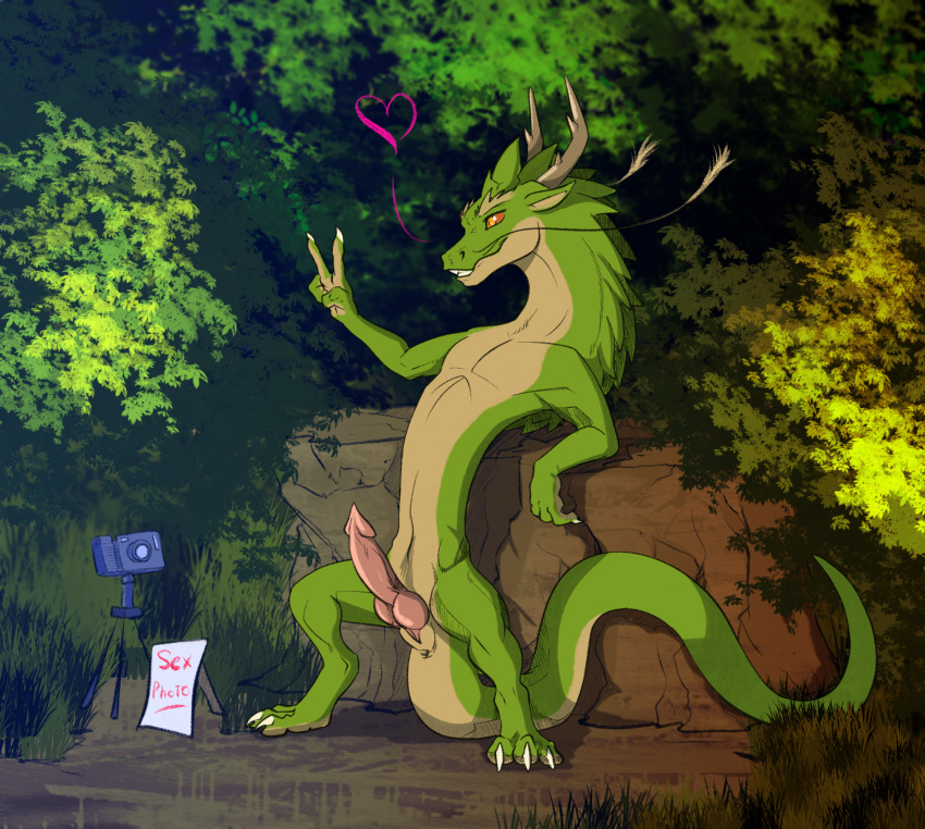 animal_genitalia animal_penis anthro asian_mythology camera canine_genitalia canine_penis digital_media_(artwork) dragon east_asian_mythology eastern_dragon english_text erection feet fingers genitals gesture hair hand_gesture hi_res horn male mythological_creature mythological_scalie mythology outdoor_nudity outside penis plant scalie slit_penis smile solo spread_legs spreading standing tail text toes v_sign zafara_(artist)
