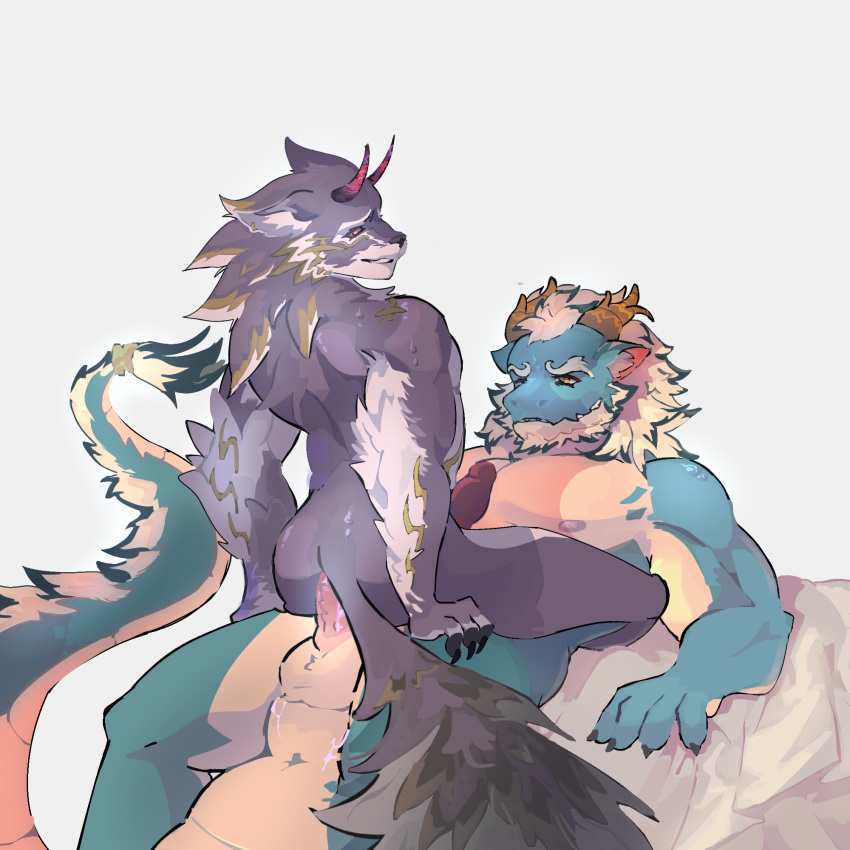 anal anal_sex anthro bael_(tas) balls big_chest blue_body bodily_fluids canid canine canis claws demon densk digital_drawing_(artwork) digital_media_(artwork) digital_painting_(artwork) dragon duo erection fur genitals grey_body grey_fur hair hi_res horn jackal lifewonders long_tail male male/male mammal multicolored_body multicolored_fur muscular muscular_anthro muscular_male mythological_creature mythological_scalie mythology nipples nude penetration penile penile_penetration penis penis_in_ass qinglong_(tas) red_eyes scalie sex simple_background smile sweat sweatdrop tail tokyo_afterschool_summoners white_hair