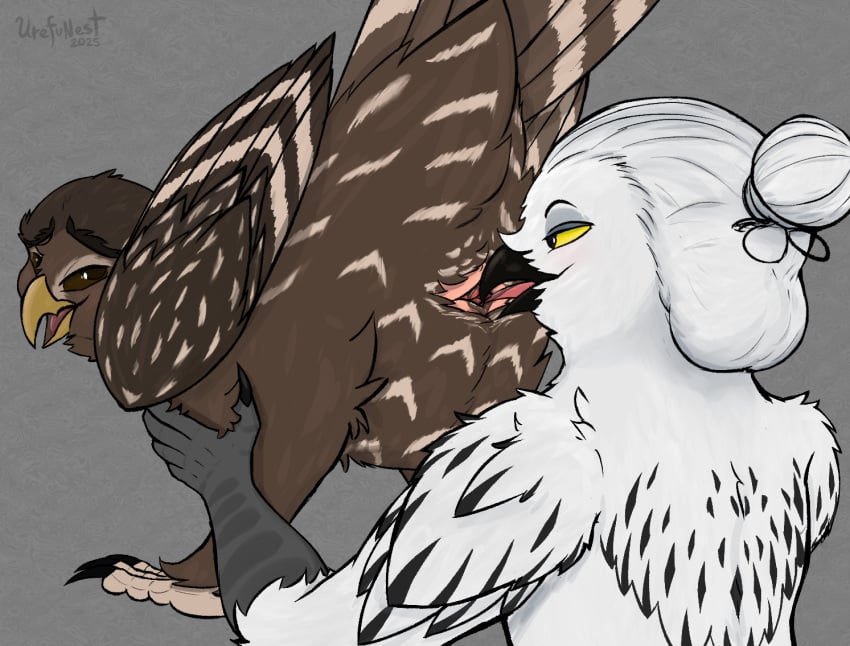 animal_genitalia anthro avian bird cloaca cloacal cloacalingus feathers feet feral genitals hooter_(hooter) horned_owl licking male male/male night_(nighteule) oral owl sex snowy_owl spotted_owl strix_(genus) tail tail_feathers talons toes tongue true_owl urefunest zoophilia