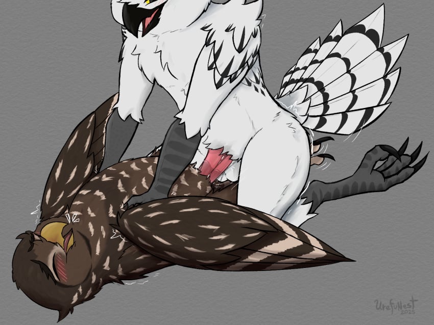 anthro anthro_on_feral anthro_penetrating anthro_penetrating_feral avian bird blush feathers feet feral feral_penetrated from_front_position hooter_(hooter) horned_owl lying male male/male male_penetrated male_penetrating male_penetrating_male missionary_position moan night_(nighteule) on_back owl penetration sex snowy_owl spotted_owl strix_(genus) tail tail_feathers talons toes true_owl urefunest zoophilia