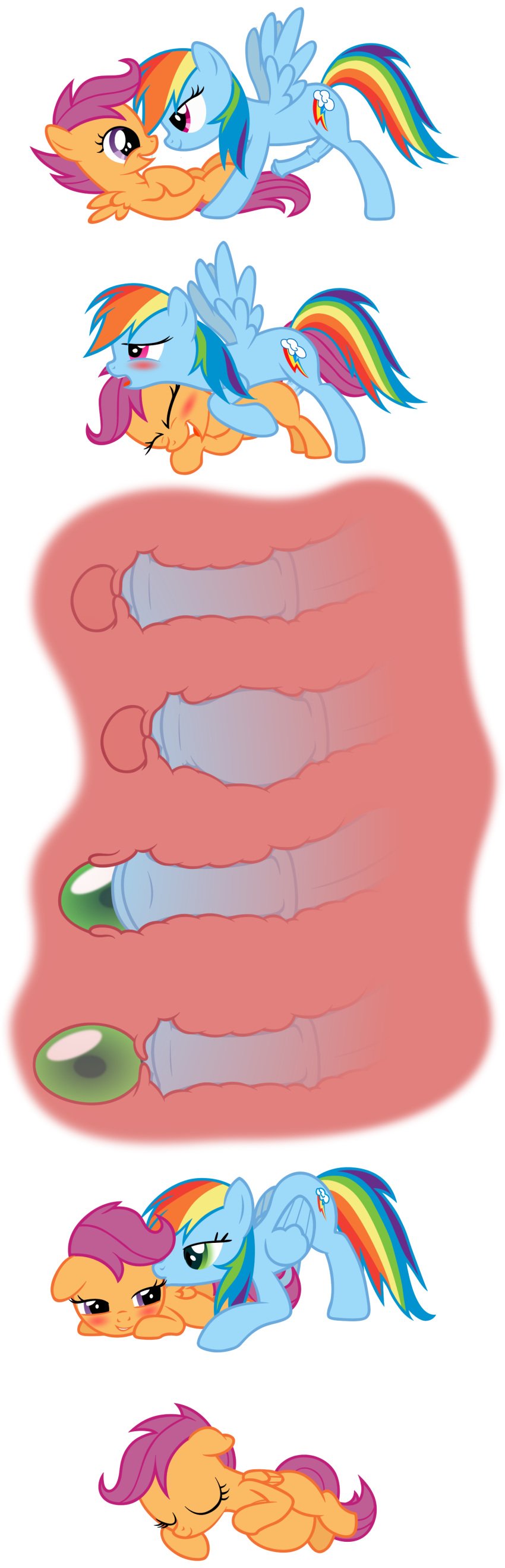 animal_genitalia badumsquish blush changeling dickgirl egg egg_implantation feral friendship_is_magic furry futanari hair horsecock impregnation intersex multicolored_hair my_little_pony oviposition penis rainbow_dash_(mlp) rainbow_hair rule_63 scootaloo_(mlp)