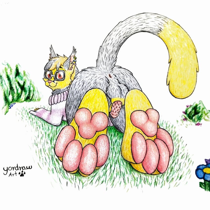 absurd_res animal_genitalia animal_penis anthro anus ass balls black_body black_fur eyewear feet felid feline feline_genitalia feline_penis flower foot_fetish fur genitals glasses grass hi_res hindpaw lying lying_on_ground male mammal on_front on_ground pawpads paws penis pink_nose pink_paws plant presenting presenting_hindquarters raised_tail solo tail traditional_media_(artwork) yellow_body yellow_fur yordraw