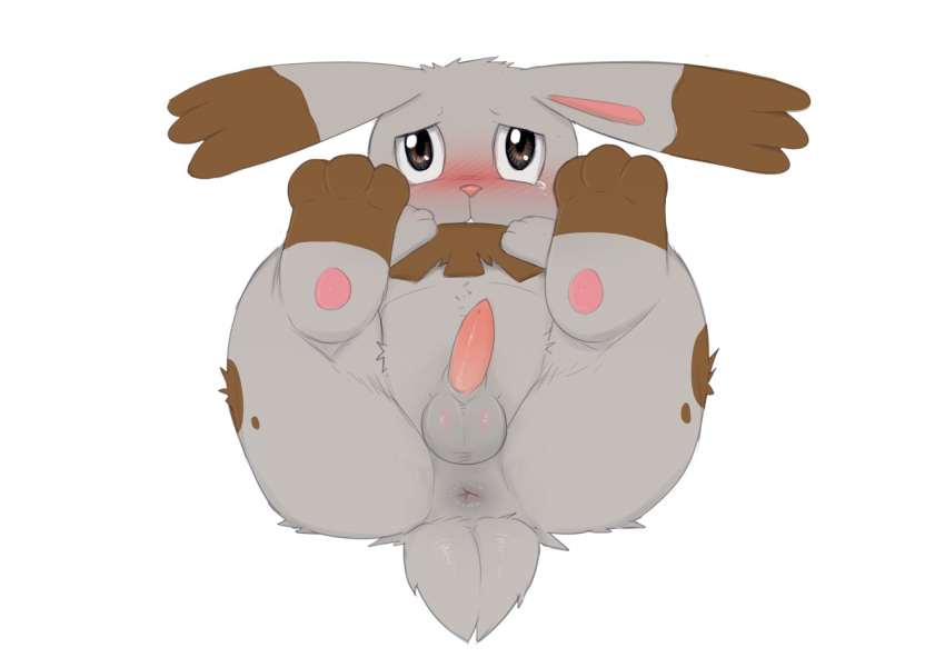 2014 3_toes anus ass balls barefoot blush bunnelby crying cute dreiker erection feral fur hand_on_stomach hi_res high_resolution highres lagomorph long_ears looking_at_viewer lying male male_only mammal nintendo nude on_back on_floor pawpads paws penis pokemon presenting presenting_hindquarters rabbit raised_leg solo tears video_games