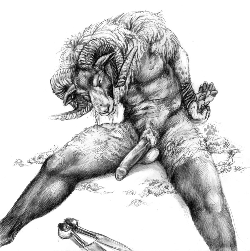 1boy animal anthro bighorn_sheep blotch caprine erection furry male male_only no_humans penis ram solo tagme