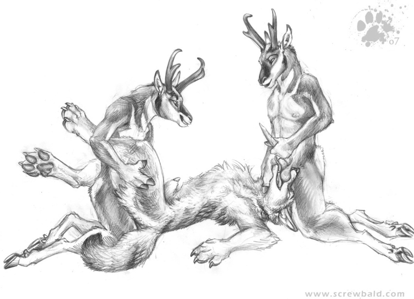 anthro blotch canine coyote fur furry interspecies kneeling male male_only mammal monochrome multiple_males nude penis pronghorn sex side_view tagme yaoi