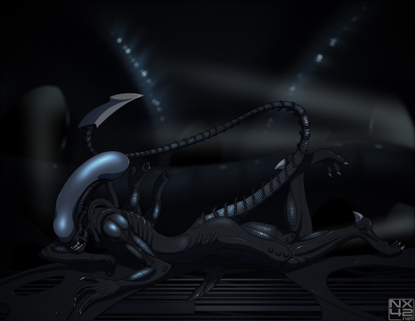 Male Xenomorph (Alien (Franchise)) Rule 34 Image